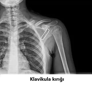 Op. Dr. Javid M. Azarabadı profilinde yer alan galeri fotoğrafı.