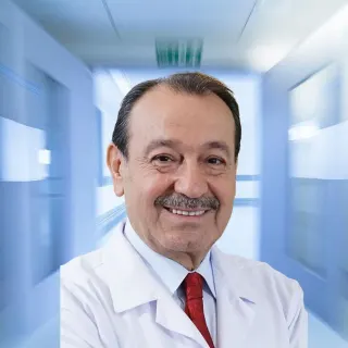 Op. Dr. Ahmet Hamdi İnan profilinde yer alan galeri fotoğrafı.