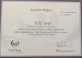 Psk. Elif Sevi Adıgüzel profilinde yer alan galeri fotoğrafı.