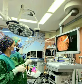 Prof. Dr. Yaşar Çolak profilinde yer alan galeri fotoğrafı.