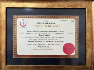 Uzm. Dt. Semih Akgül profilinde yer alan galeri fotoğrafı.