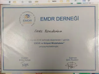 Psk. Emel Tüylüoğlu profilinde yer alan galeri fotoğrafı.