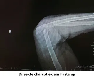Op. Dr. Javid M. Azarabadı profilinde yer alan galeri fotoğrafı.
