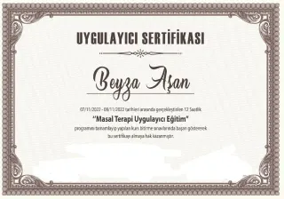 Psk. Beyza Aşan profilinde yer alan galeri fotoğrafı.