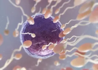 Op. Dr. Gül Tufan profilinde yer alan galeri fotoğrafı.