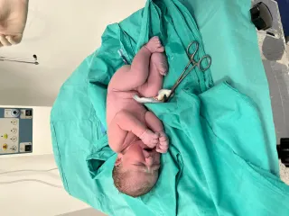 Op. Dr. Sibel Barut profilinde yer alan galeri fotoğrafı.