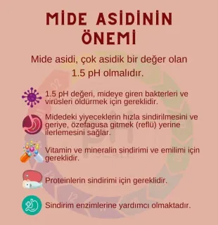 Dyt. Belkıs Öztürk profilinde yer alan galeri fotoğrafı.
