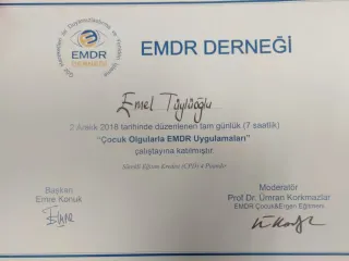 Psk. Emel Tüylüoğlu profilinde yer alan galeri fotoğrafı.