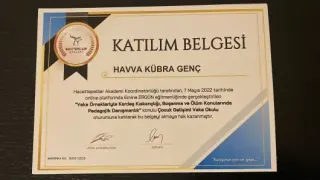 Havva Kübra Genç profilinde yer alan galeri fotoğrafı.