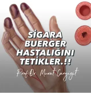 Prof. Dr. Murat Canyiğit profilinde yer alan galeri fotoğrafı.
