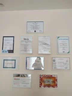 Uzm. Dkt. İrem Akca Boyacı profilinde yer alan galeri fotoğrafı.