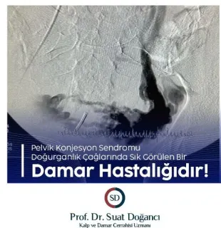 Prof. Dr. Suat Doğancı profilinde yer alan galeri fotoğrafı.