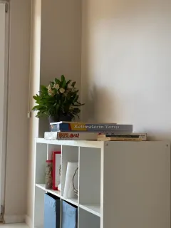 Dkt. Sedef Adıyaman profilinde yer alan galeri fotoğrafı.