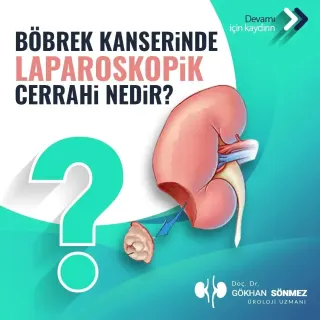 Doç. Dr. Gökhan Sönmez profilinde yer alan galeri fotoğrafı.