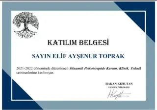 Kl. Psk. Elif Ayşenur Taşoğlan profilinde yer alan galeri fotoğrafı.