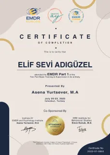 Psk. Elif Sevi Adıgüzel profilinde yer alan galeri fotoğrafı.